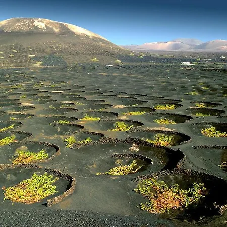 Lanzarote *